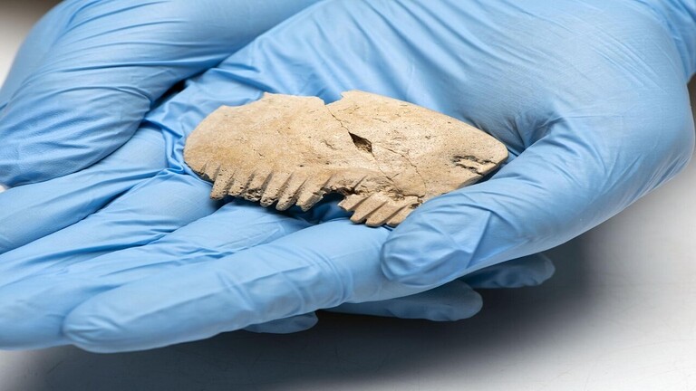 العثور على "مشط" مصنوع من عظام جمجمة بشرية في انكلترا