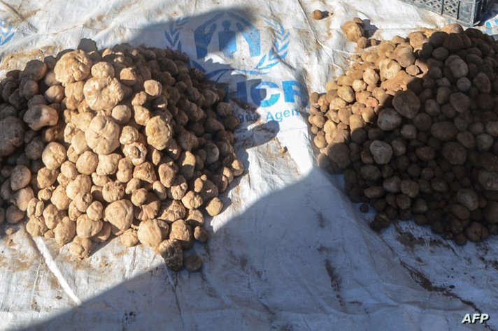 ISIS militants kill three truffle hunters, kidnap 25 in northern Syria