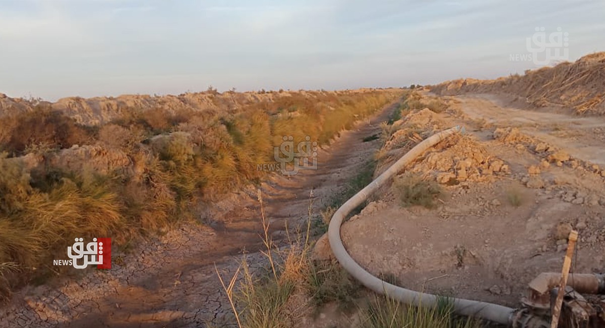 الغراوي يؤشر 3 أسباب فاقمت آثار الجفاف والاحتباس الحراري في العراق