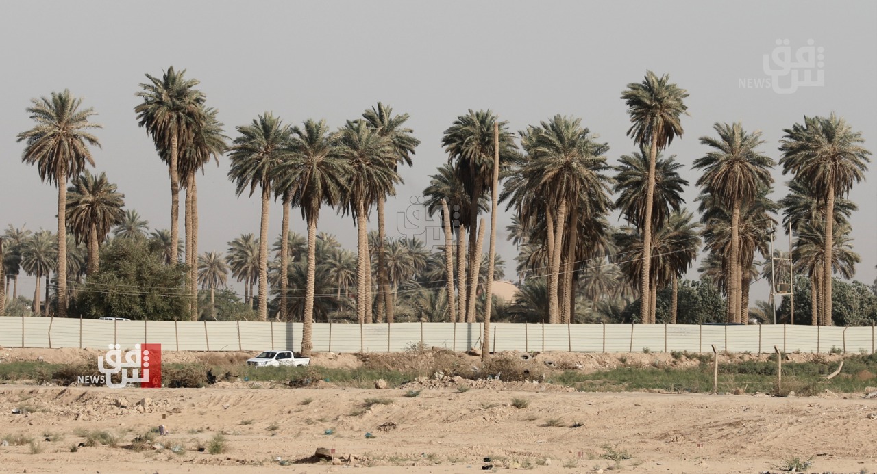 Iraq launches tree planting initiative to fight desertification and climate change, Report