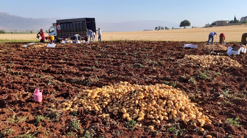 Egyptian potato and onion ships ignite crisis in Lebanon, Iraq is the solution