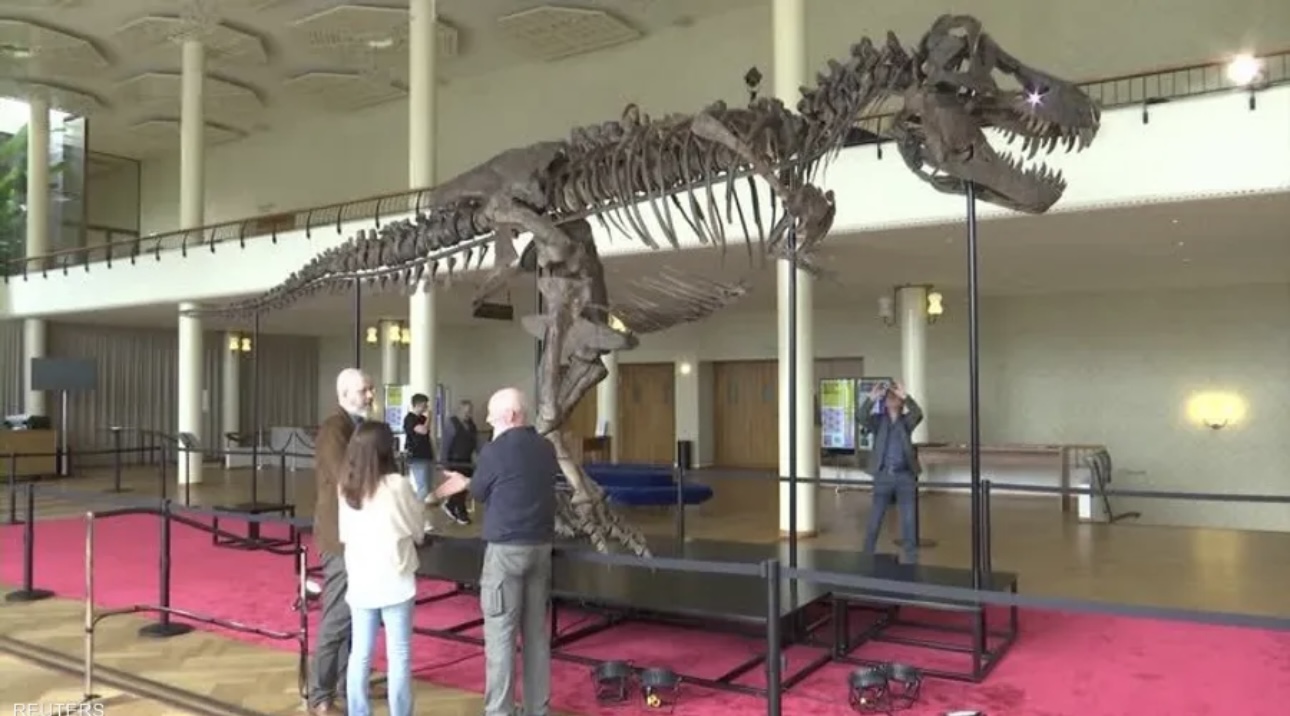 بيع هيكل عظمي لديناصور بأكثرمن 6 ملايين دولار