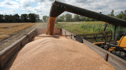 الأمم المتحدة تقدم مقترحاً لتمديد اتفاق صادرات الحبوب الأوكرانية