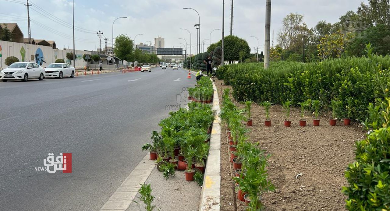 لزيادة المساحات الخضراء.. اربيل تزرع "15 ألف" وردة في الأماكن العامة  (صور)