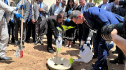 Rwanga Foundation Launches Innovative Project to Plant 5,000 Trees in Iraq
