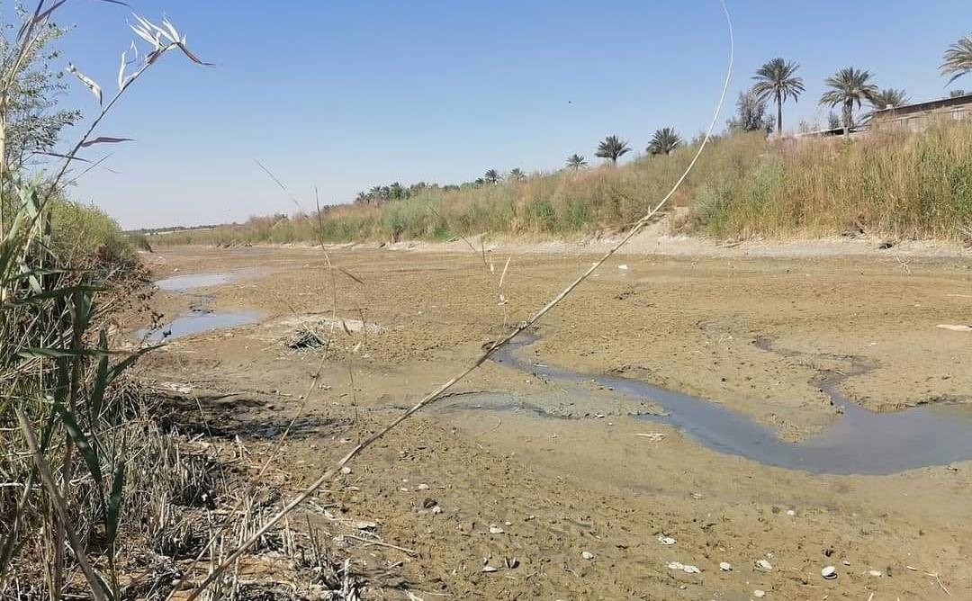 UN representative in Iraq warns of water crisis - Shafaq News