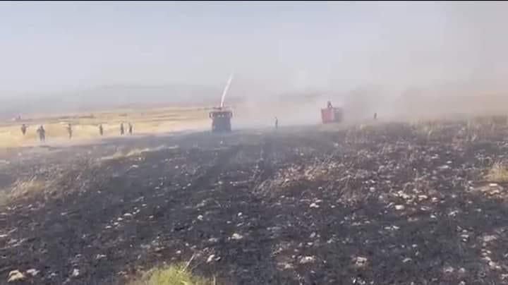 فيديو .. الدفاع المدني في أربيل يخمد حريقاً اندلع بمحاصيل زراعية