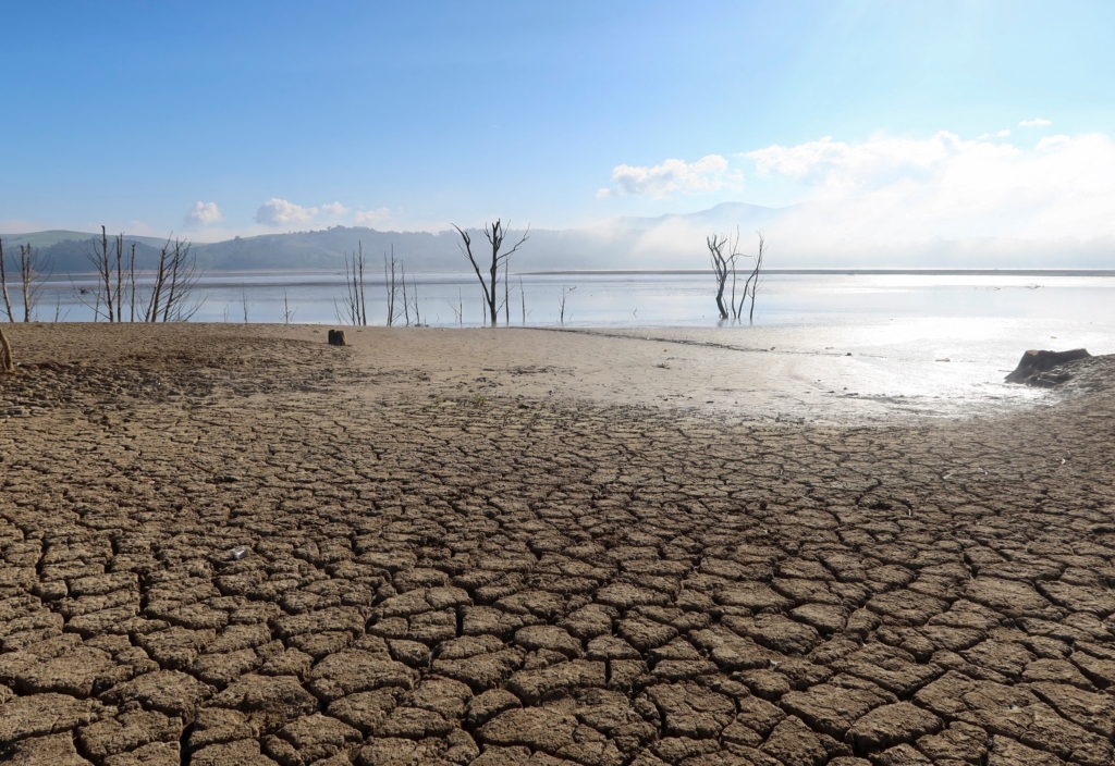 Shrinking Lakes: Global Study Reveals Alarming Decrease in Water Reserves Raises Concerns for Water Security