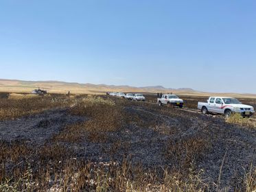 حريق يأتي على مئات الدوانم من مزارع القمح جنوب شرق السليمانية
