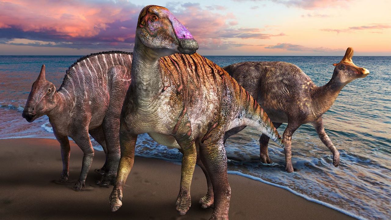 اكتشاف غير متوقع.. العثور على بقايا ديناصور من نوع جديد في تشيلي