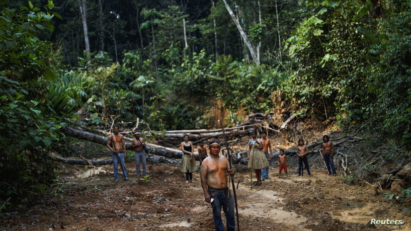 دراسة: قد نكون آخر الأجيال التي تشاهد غابات الأمازون