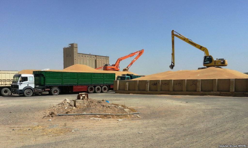 خانقين واطراف كوردستان تطالب بغداد بتوسيع خطط تسويق القمح