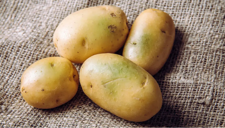 تحذير من خطورة البقع الخضراء على البطاطا