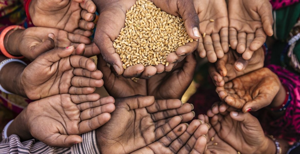 الأمم المتحدة تدق ناقوس الخطر: معدلات الجوع وأزمة نقص الغذاء ترتفع عالمياً