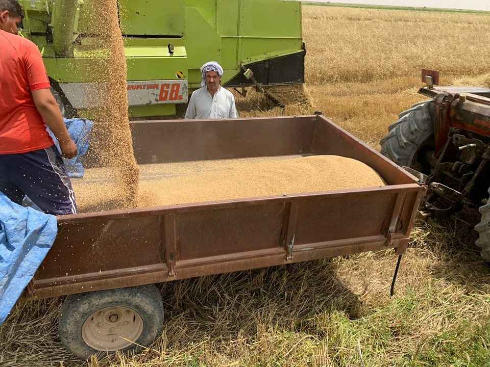 صلاح الدين تصف الموسم الزراعي الشتوي بـ