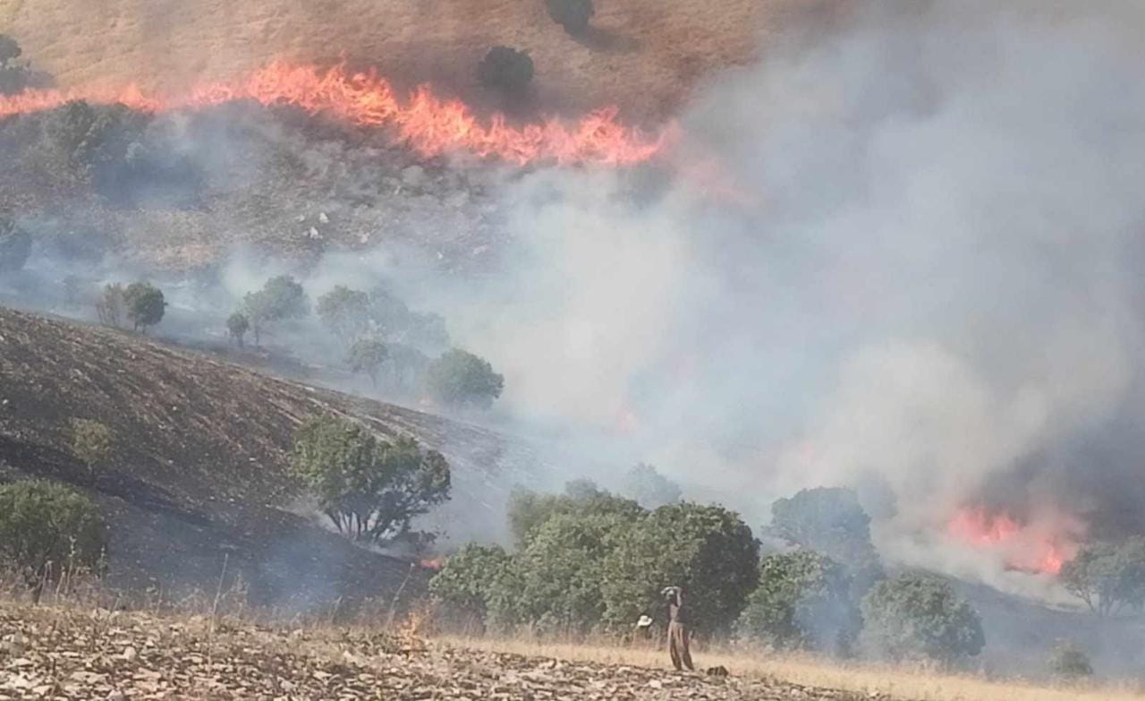 السليمانية.. السيطرة على حريق كبير في مراعٍ طبيعية وغابات برزنجة