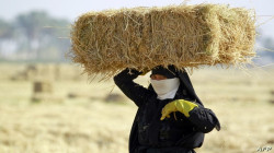 How has climate change affected Iraqi women's livelihoods?