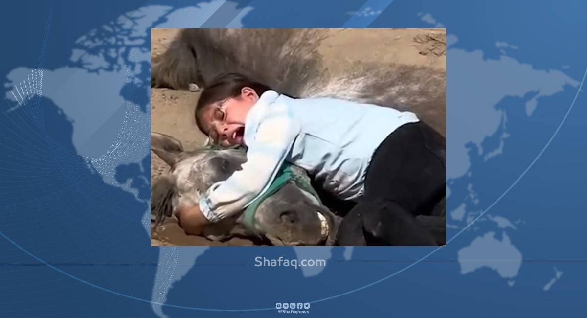 آل مكتوم يهديها مجموعة خيول.. أصغر فارسة كوردية عراقية تثير تعاطفاً دولياً (فيديو)
