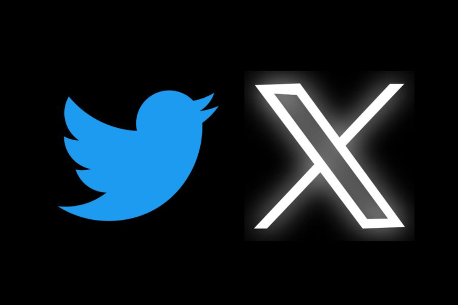 التغيير من الطائر إلى X يكلّف "ماسك" تويتر 20 مليار دولار