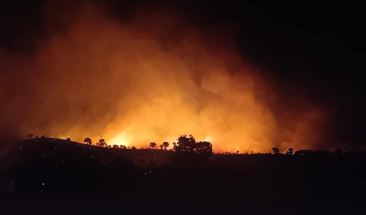 صور .. حريق كبير يلتهم مئات الدوانم من المساحات الطبيعية بالسليمانية