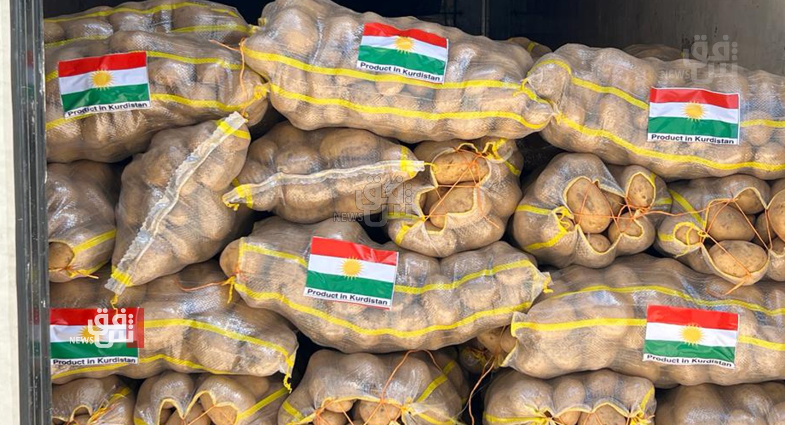 إقليم كوردستان يباشر بتصدير البطاطا إلى الإمارات (صور)