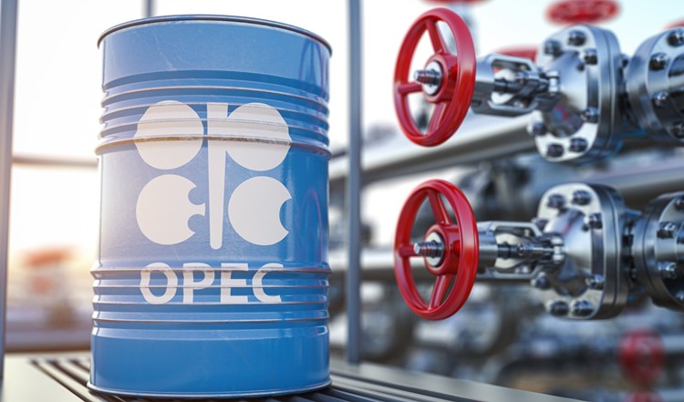 OPEC+ August crude oil production up 120,000 bpd, but below summer levels