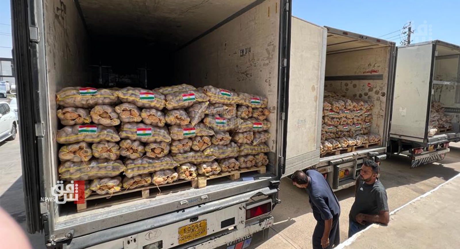 إقليم كوردستان يُصدّر 2000 طن من البطاطا شهرياً