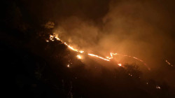 Wildfire consumes 10,000 dunams of trees in al-Sulaymaniyah