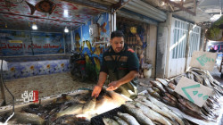 مربو الأسماك في العراق يشكون تراكم المشاكل ويطرحون "حلاً وحيداً"