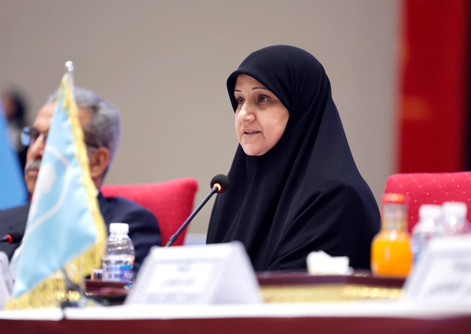 Communications Minister says Iraq offers pioneer maternal benefits for public servants