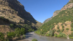 Unknown assailants poison river resulting in death of over 15 wild animals in Duhok