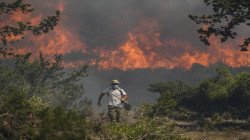 دراسة علمية: 25% من حرائق الغابات الشديدة سببها التغير المناخي