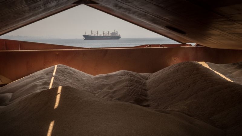 Turkish, Russian presidents discuss grain export in Moscow summit
