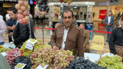 انطلاق فعاليات مهرجان "العنب والعسل" في دهوك (صور)
