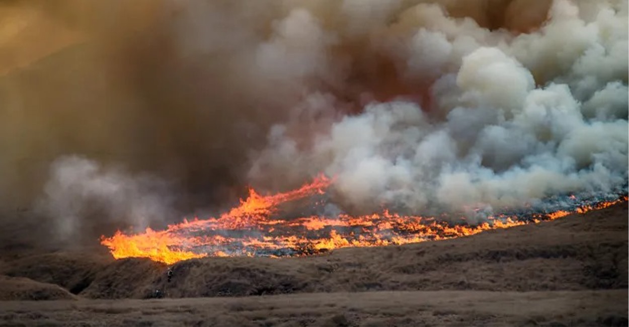 دراسة تكشف عن عامل إيجابي لحرائق الأدغال يسهم بتخفيف الاحتباس الحراري