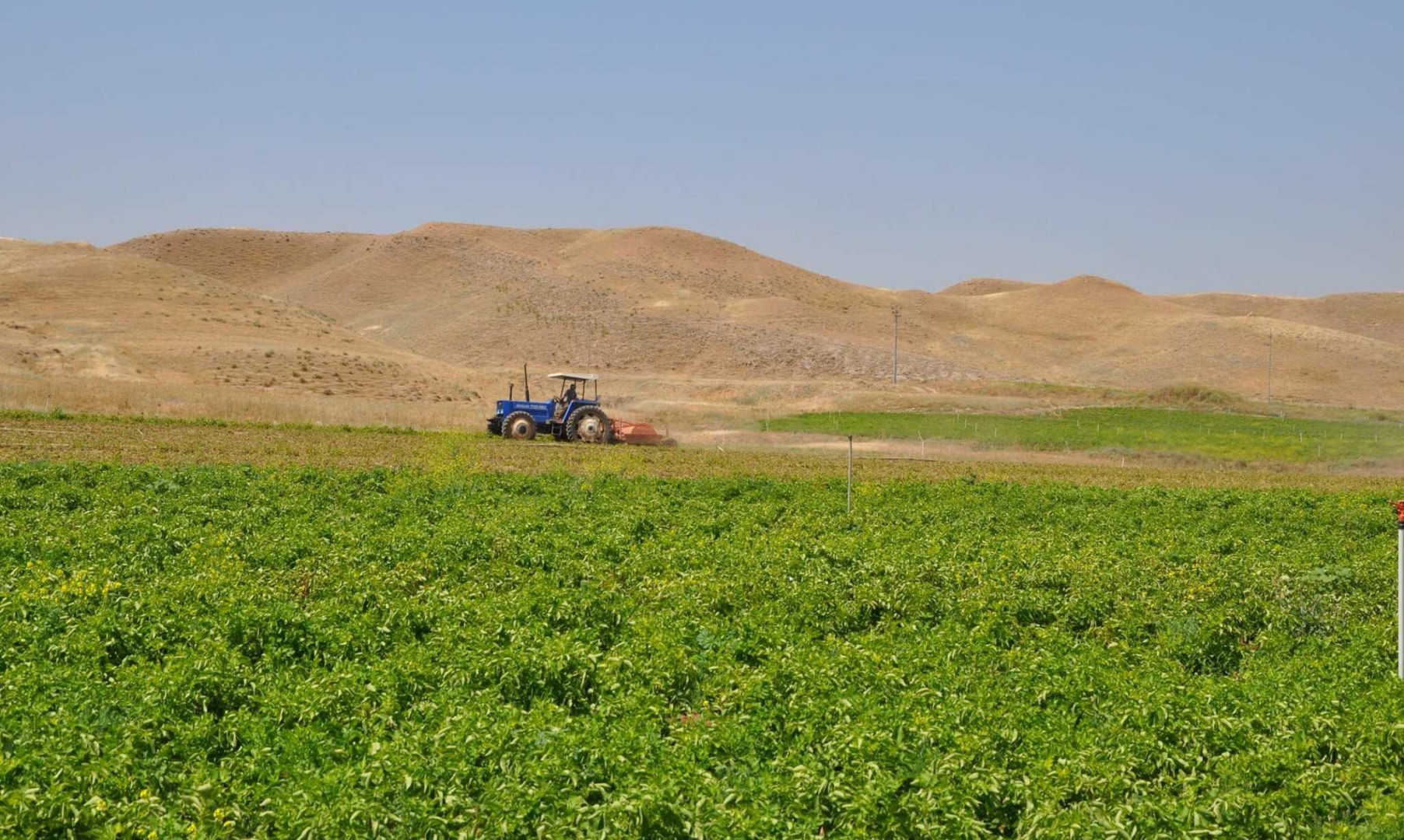 اسوة بقرار كوردستان.. زراعة كرميان تطالب بغداد بمنع استيراد المحاصيل الزراعية