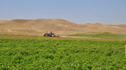 اسوة بقرار كوردستان.. زراعة كرميان تطالب بغداد بمنع استيراد المحاصيل الزراعية