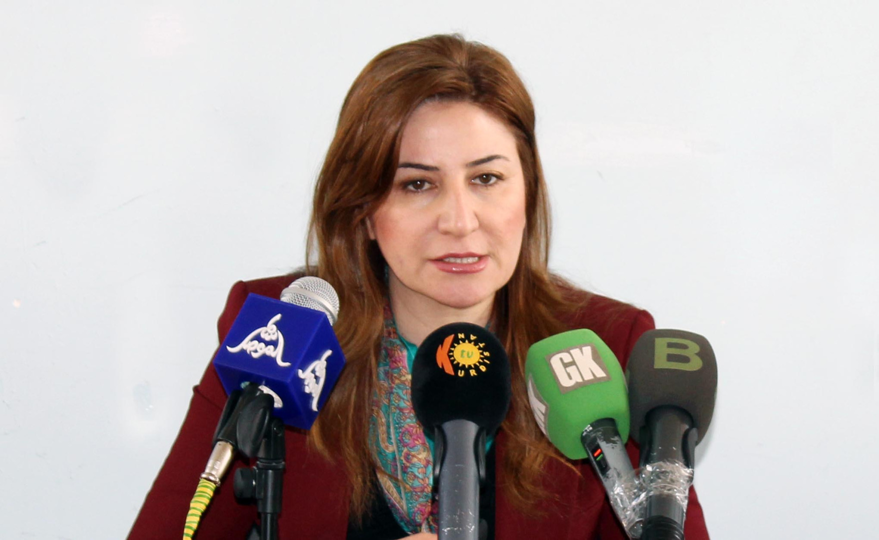 Iraqi Government struggles to remove foreign forces from Sinjar district, says KDP spokeswoman