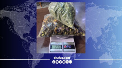 المنافذ: القبض على سائق عراقي "خبأ مخدرات" بين مواد غذائية ومتهم بحوزته بطاقات مالية معدة للتهريب