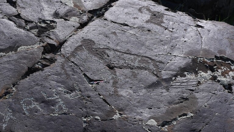اكتشاف أثري جديد.. لوحات فنية منحوتة على الصخر