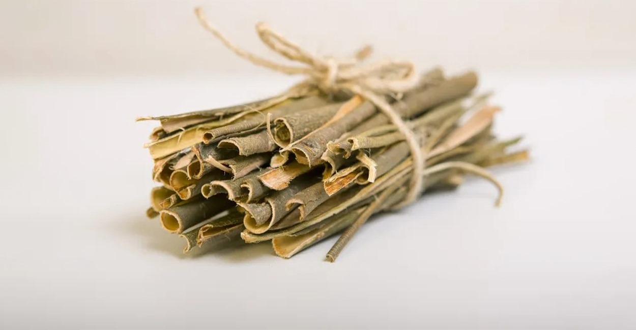 "لحاء الصفصاف".. نجاعة الخلطة القديمة لمواجهة الأمراض والفيروسات المستجدة