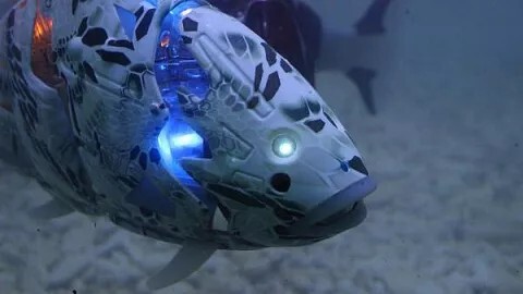 روسيا تطور روبوتات عائمة تحاكي حركة الكائنات المائية