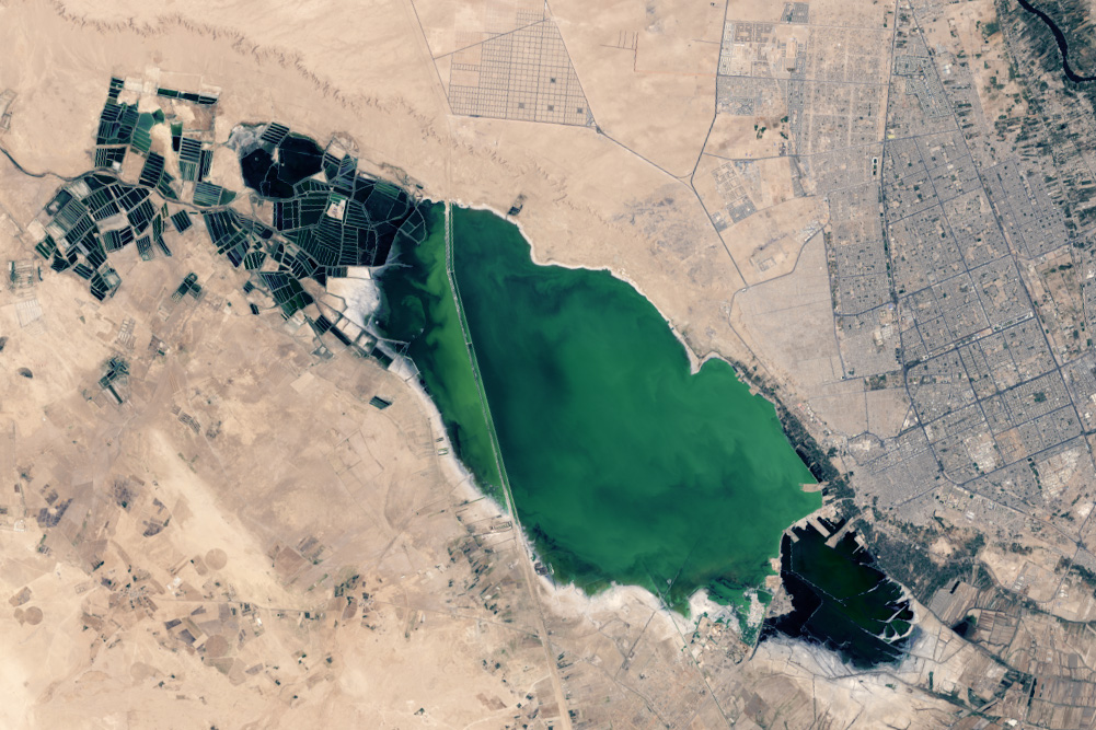 موقع "NASA Earth": عودة المياه لبحر النجف والمدينة ووادي السلام يكبران بشكل متسارع (صور)