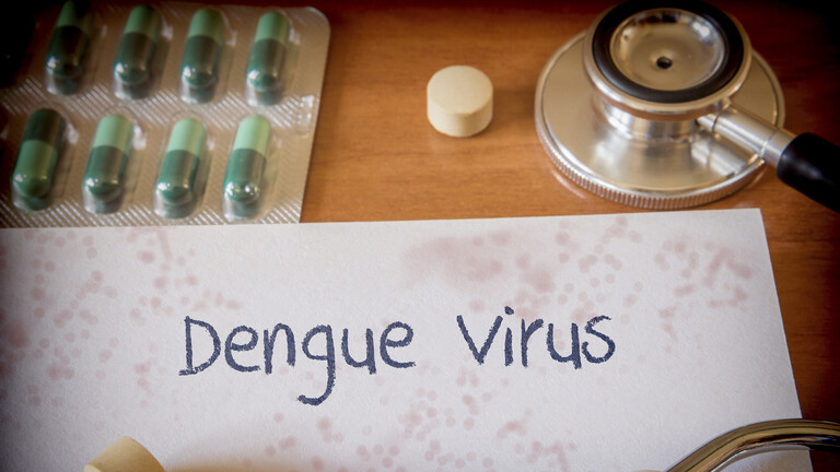 خلال شهر واحد.. "حمى الضنك" ينهي حياة 356 شخصاً في بوركينا فاسو والاصابات تتجاوز 123 ألفاً