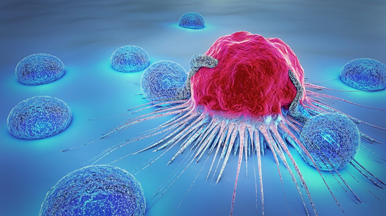 اكتشاف جيني جديد يمهد لعلاج السرطان