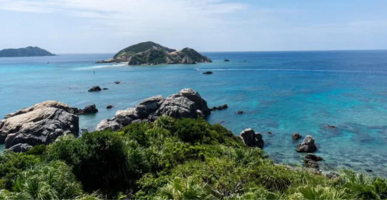 يمكن أن يتكرر حالياً... نقص الاوكسجين في المحيطات أدى الى إنقراضات جماعية سابقاً