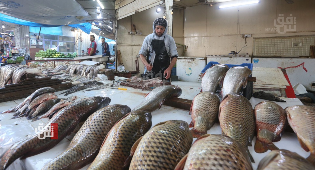 أكثر من مليون طن إلى انقراض وشيك.. "الخمس العجاف" تُحوِّل العراق لمستورد للأسماك