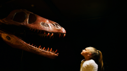 مفاجأة.. للديناصورات دور في قصر عمر الإنسان
