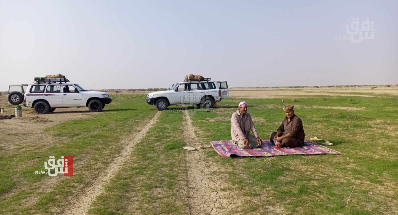 الطيور الاجنبية تنعش جيوب الصيادين على الحدود العراقية الايرانية
