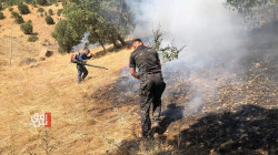 منظمة: احتراق عشرات آلاف الدونمات من الغابات في السليمانية بسبب القصف التركي